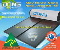Dong group 1