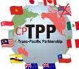 Tác động của CPTPP tới một số ngành xuất khẩu chủ lực của Việt Nam